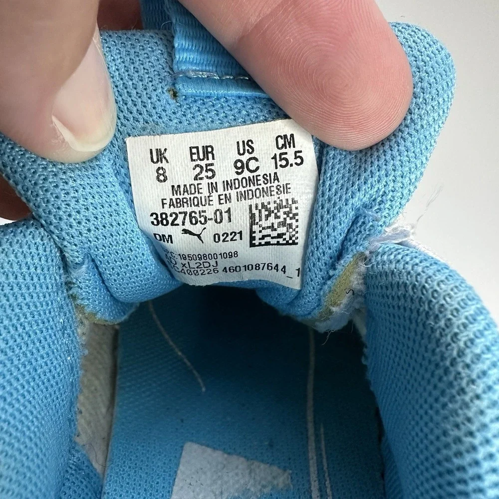 Jordan puma rs